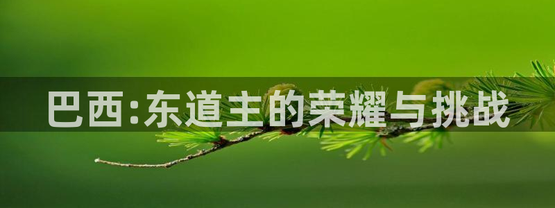 世界杯预赛赛程:巴西:东道主的荣耀与挑战