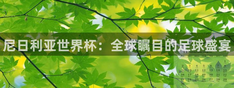 足球世界杯时间:尼日利亚世界杯:全球瞩目的足球盛宴