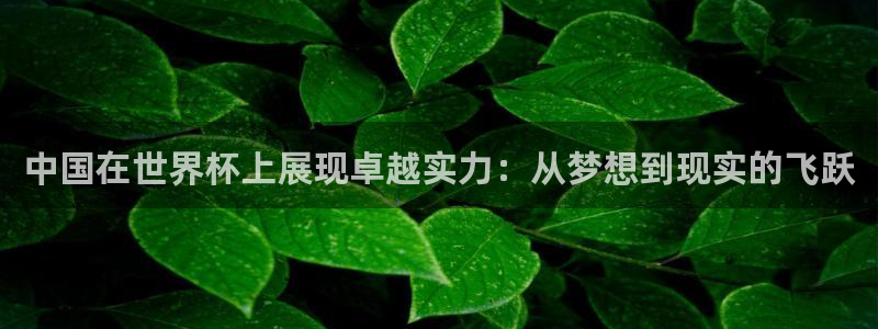 世界杯直播在线观看入口:中国在世界杯上展现卓越实力:从梦想到现实的飞跃