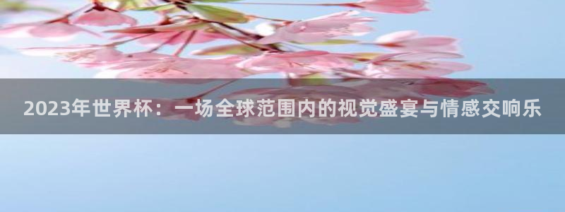 足球世界杯2026:2023年世界杯:一场全球范围内的视觉盛宴与情感交响乐