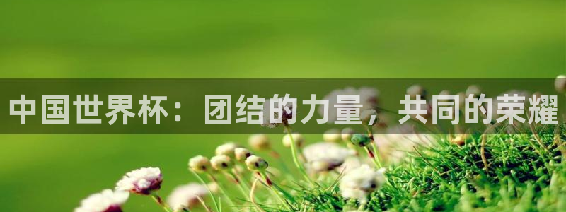 亚洲杯足球:中国世界杯:团结的力量,共同的荣耀