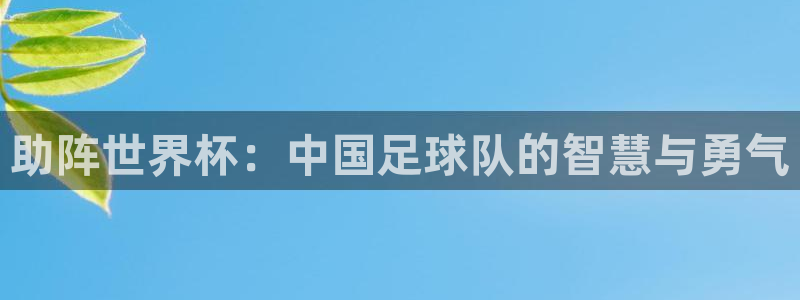 世界杯系列赛:助阵世界杯:中国足球队的智慧与勇气