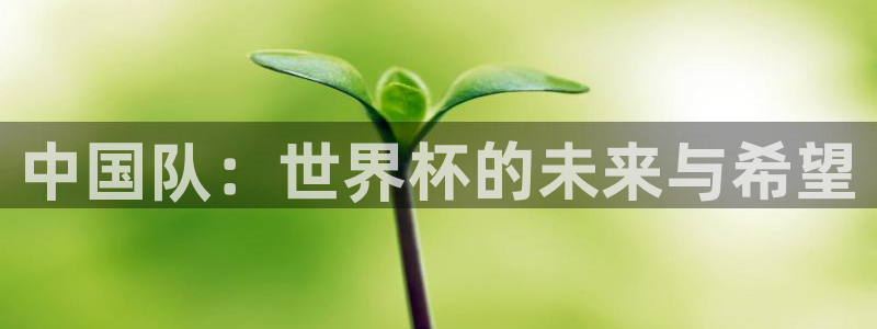 2026 世界杯:中国队:世界杯的未来与希望